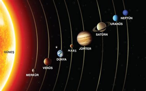 Heliopsis: Güneş Gibi Parlayan İç Mekanlar